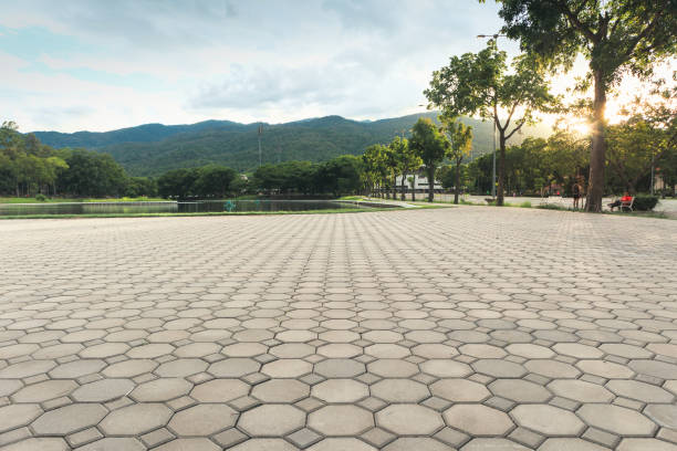 Best Interlocking Driveway Pavers  in Kaanapali, HI